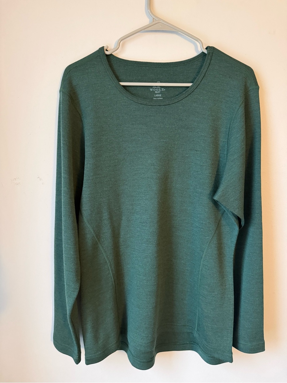 WoolX Riley Merino Wool Crewneck Sweater Long Sleeve Top Green Size L